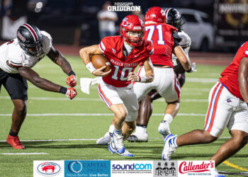 Top Performers: Week of Nov. 24-29