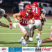 Top Performers: Week of Nov. 24-29
